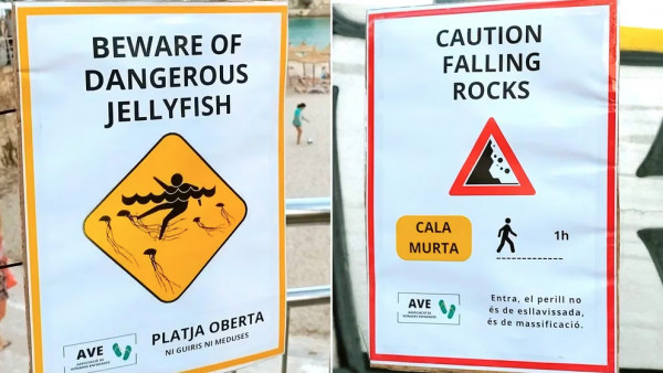 Playas en las que solo hay medusas si hablas inglés